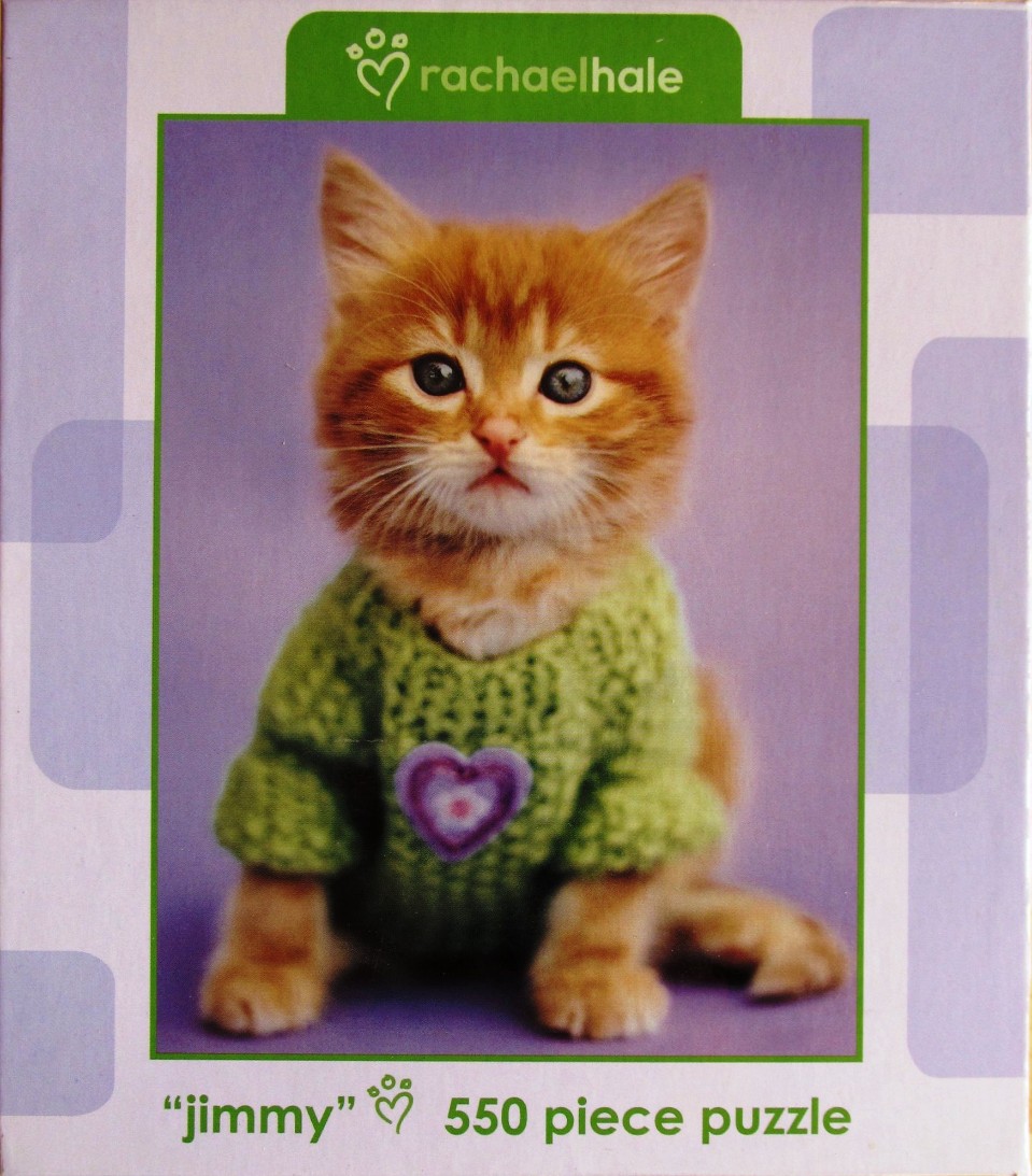 A close-up photograph of an orange tabby kitten wearing a light green knitted sweater with a heart appliqué.