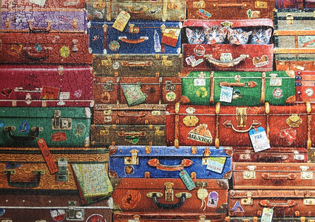 A stack of colorful, weathered vintage suitcases decorated with travel stickers and housing four kittens.