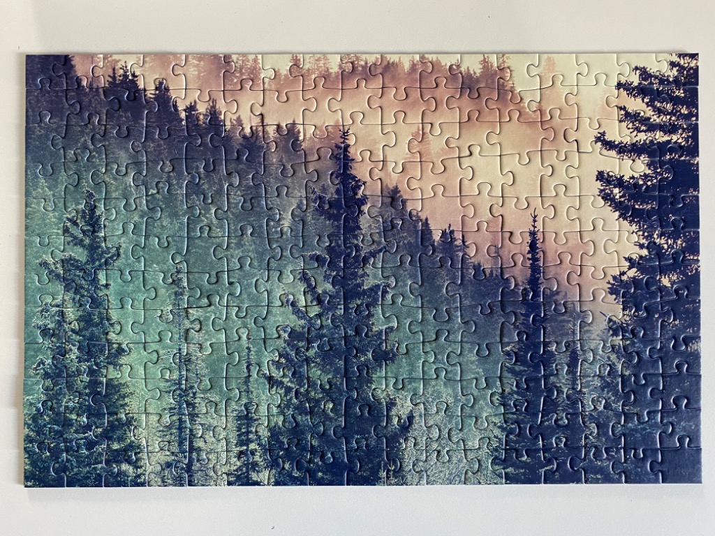 A misty forest landscape with tall pine trees receding into a hazy, warm-toned background.