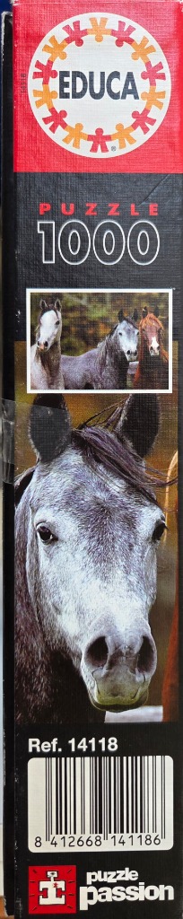 Arabian Horses