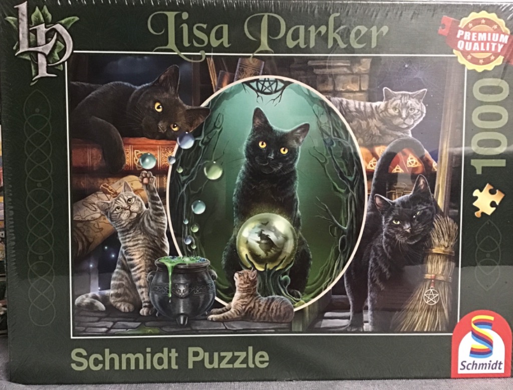 Fantasy illustration of five cats in a magical witch
