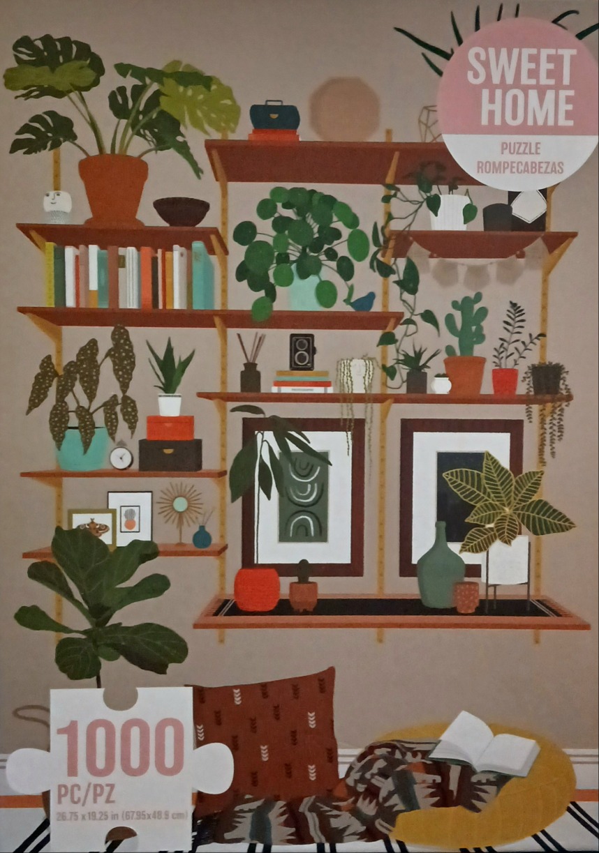 Illustration of a cozy wall with shelves filled with potted plants, books, and art prints, with a reading nook below.