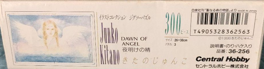 Dawn of Angel