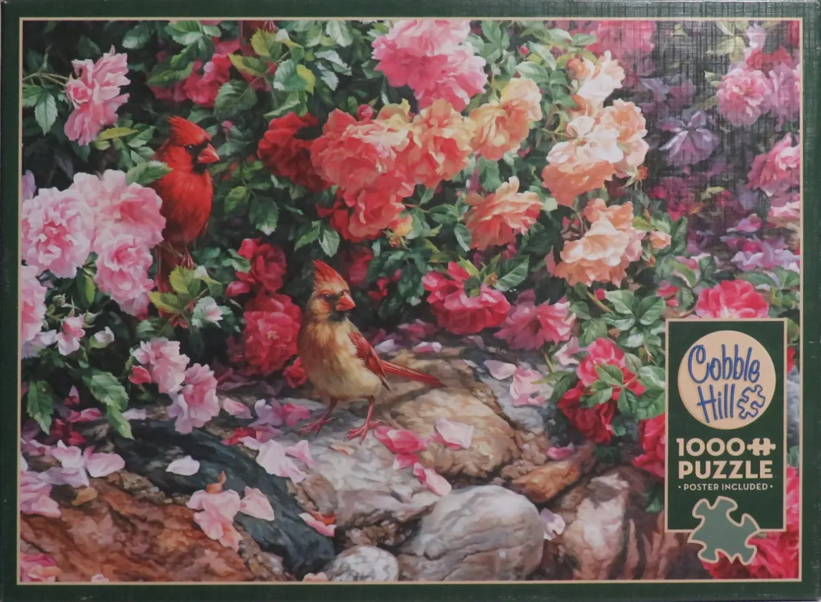 Two cardinals in a vibrant rose garden, one bird perched on a branch and one standing on a stone path.