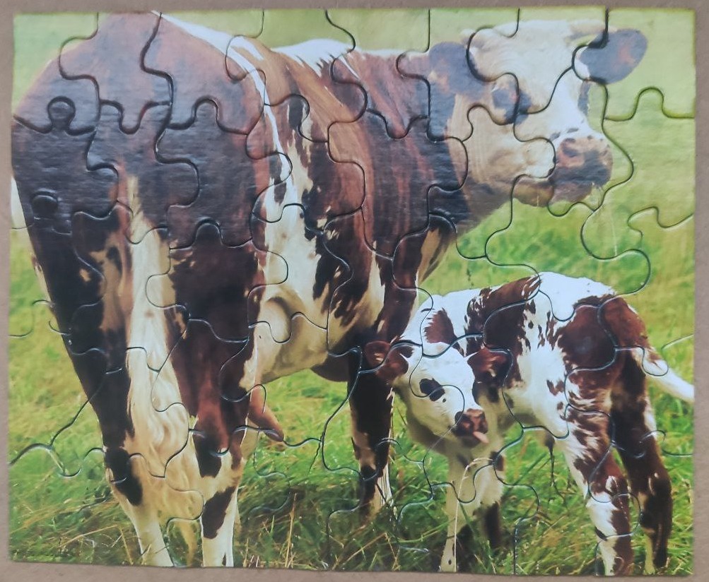 A mother cow and her calf standing in a green grassy pasture.
