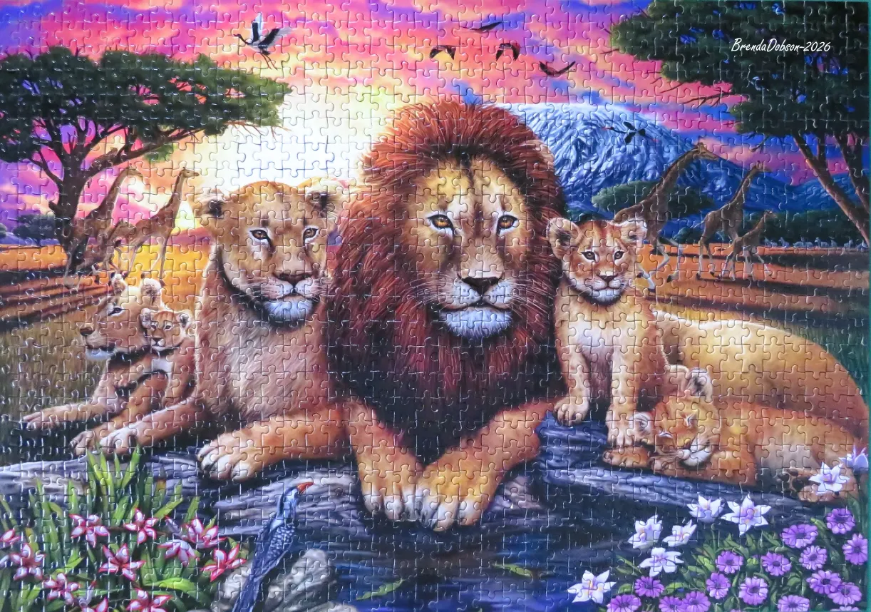 A lion pride resting in the African savanna at sunset with colorful clouds and giraffes in the background.