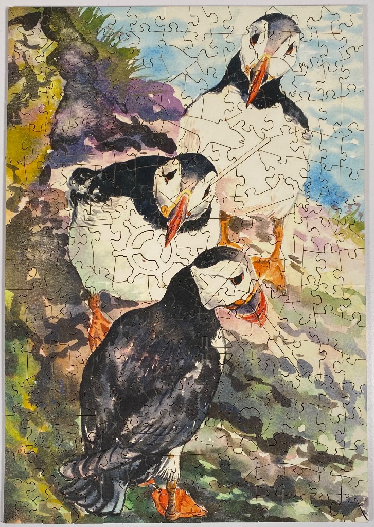 Three Atlantic puffins standing on a coastal cliffside in a watercolor painting style