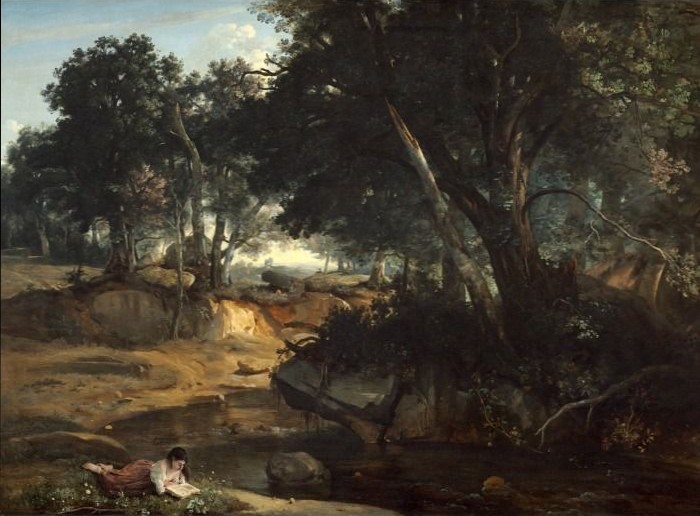 A woman lying on the grass reading a book by a tranquil stream in a forest clearing.