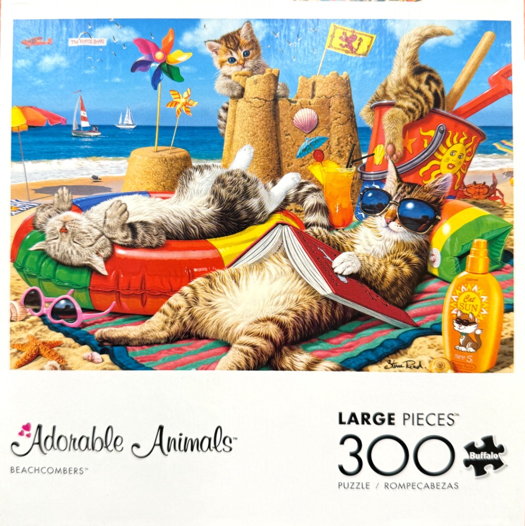 Three tabby cats relaxing on a sunny beach, including one in sunglasses and one in a colorful floatie.