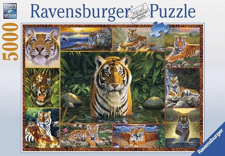 A collage of tiger illustrations showing various scenes of tigers in nature, including close-ups and resting poses.