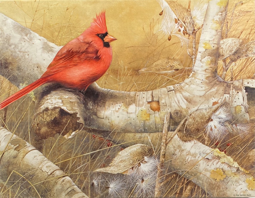 A male cardinal perched on a birch branch in a field of dried grasses, rendered in a soft, naturalistic art style.