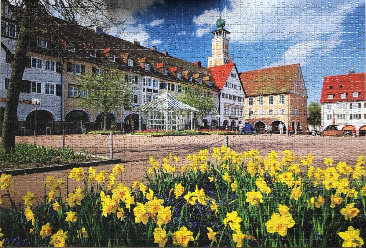 A sunny town square with a flower garden of yellow daffodils in the foreground and historic European buildings behind.