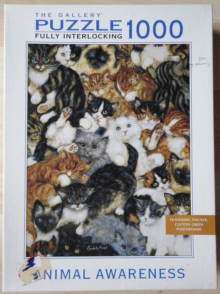 A crowded collage of many kittens of various breeds and colours