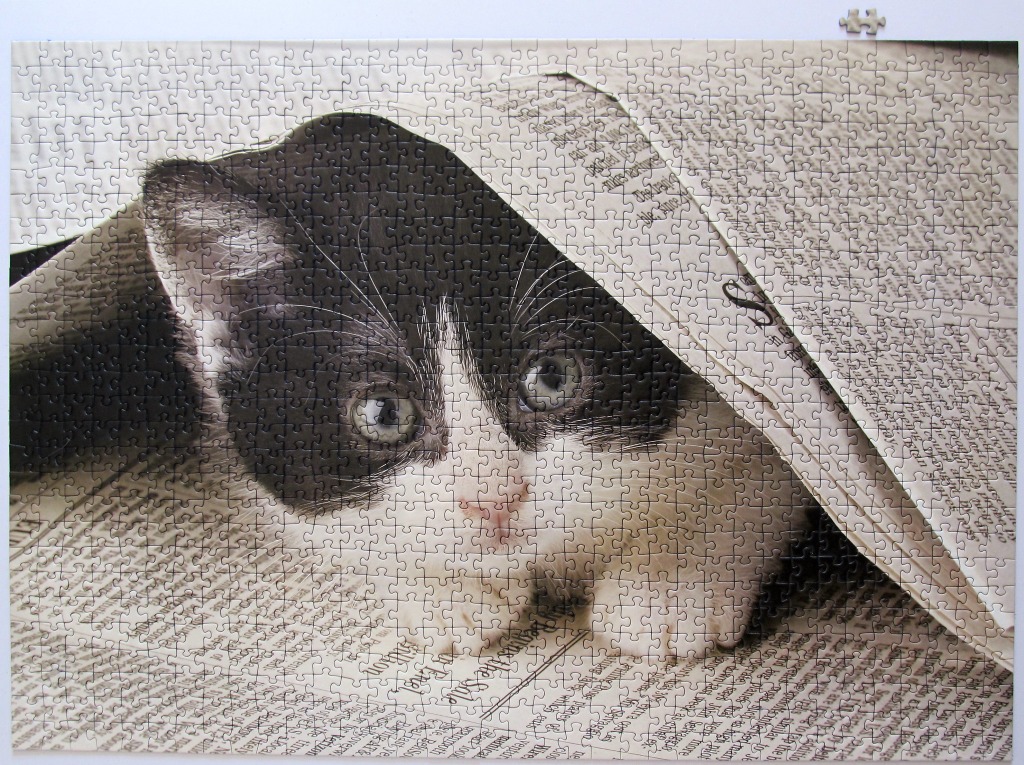 A black and white kitten peering out from underneath the folds of a spread-out newspaper.