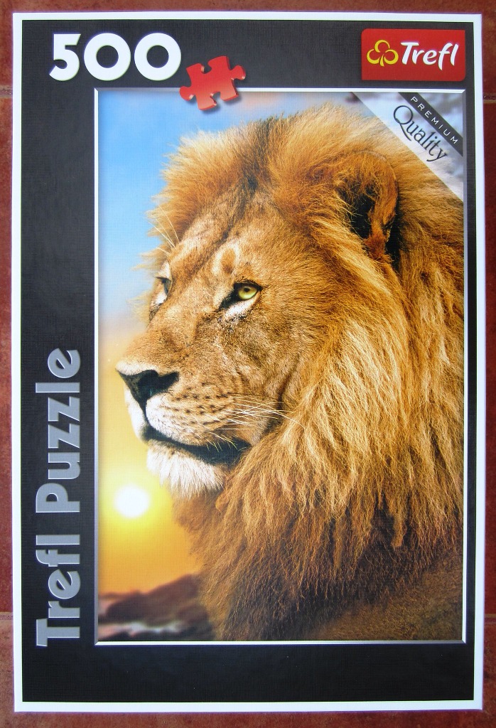 A portrait of a male lion with a large mane against a sunset sky.
