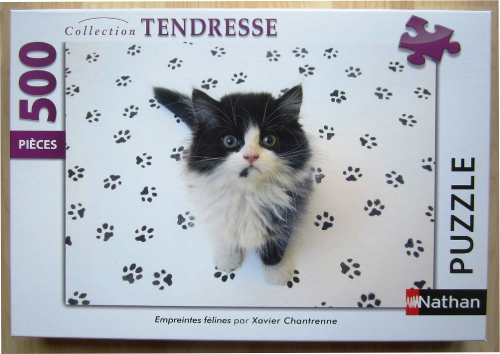 A black and white fluffy kitten looking up from a background covered in scattered black paw prints.