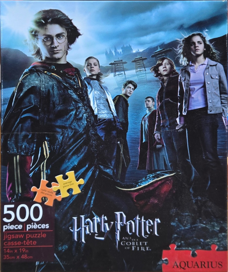 A cinematic group portrait of six young adults standing near a dark, misty lake with a castle in the background.