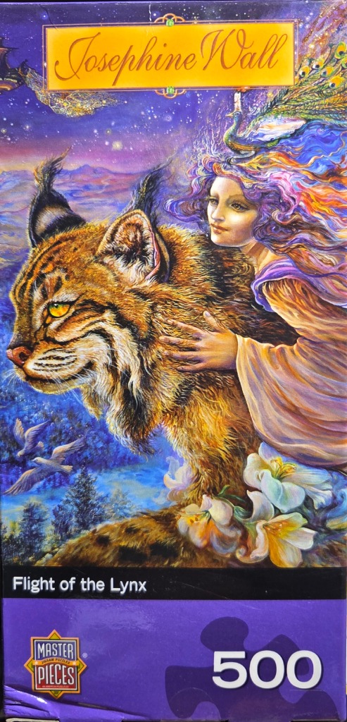Fantasy illustration of a woman riding a large lynx against a starry twilight sky.