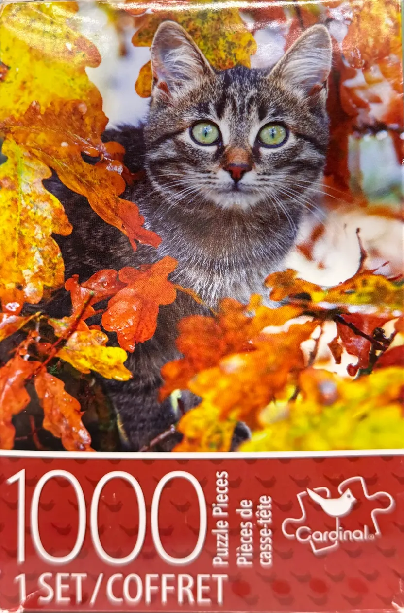 A close-up photograph of a tabby cat peering through vibrant autumn leaves.
