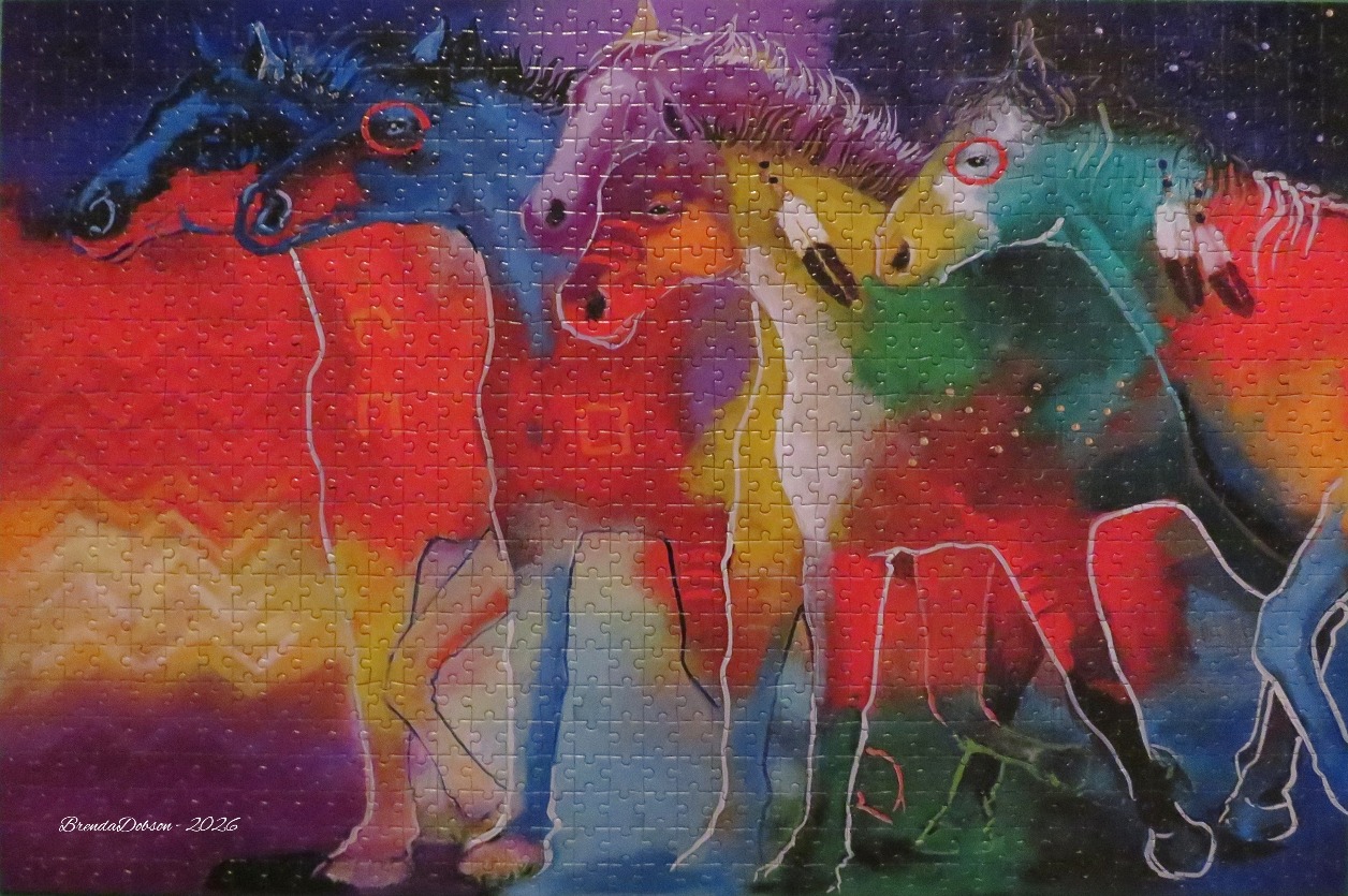 Vibrant, multi-colored stylized illustration of four horses standing together against a starry background.