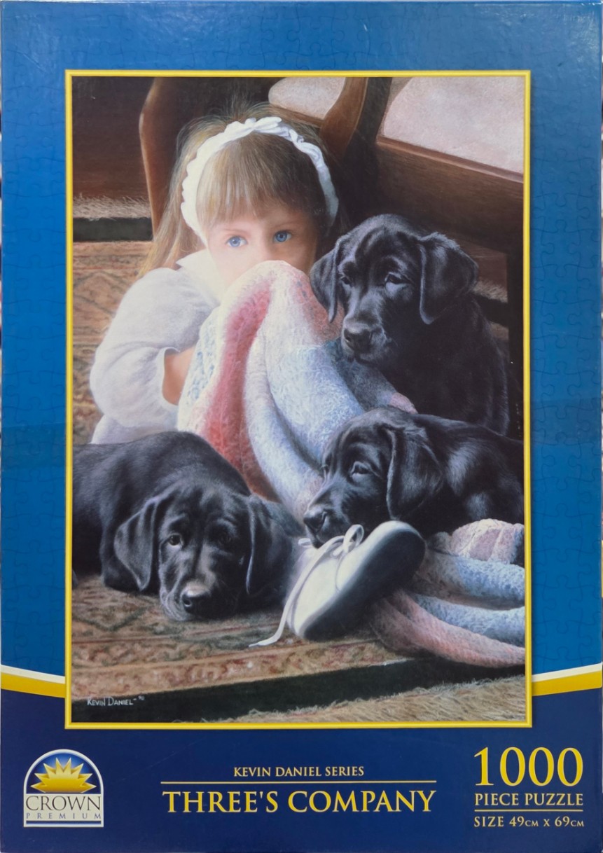 A young girl with a white headband sitting on a rug with two black Labrador puppies.