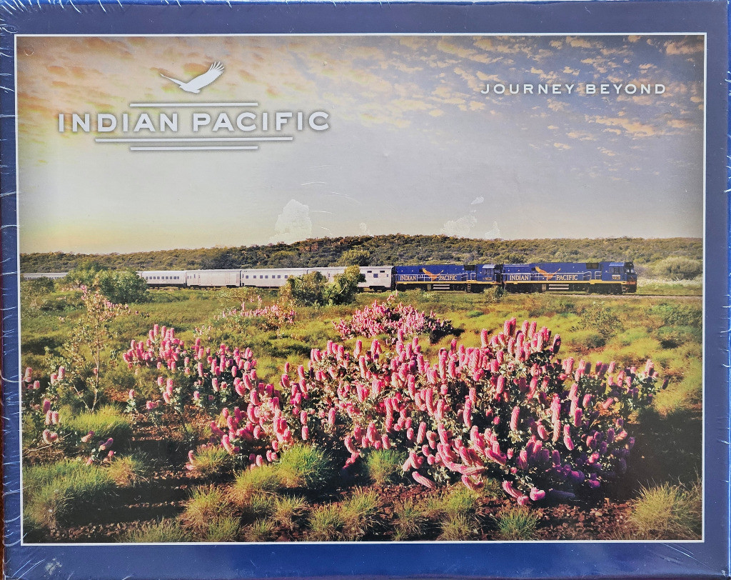 A passenger train travels through the Australian outback with flowering pink mulla mulla shrubs in the foreground.