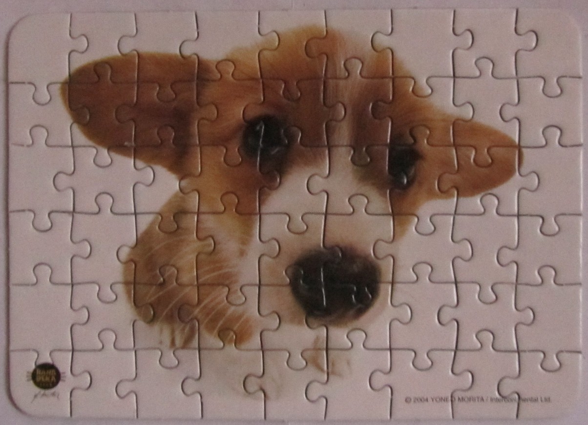 A soft-focus, artistic portrait of a Pembroke Welsh Corgi dog against a white background.