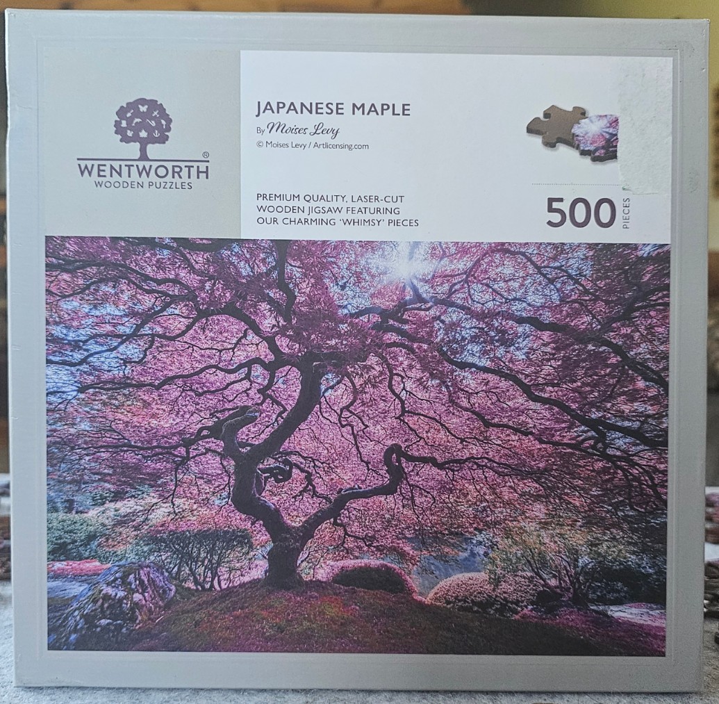 A vibrant Japanese maple tree with pink and purple leaves, seen from below against a bright, sunlit sky.