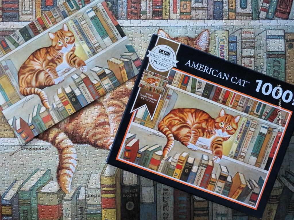 A tabby cat resting on a bookshelf, depicted in an illustration overlapping a larger scene of a bookshelf.