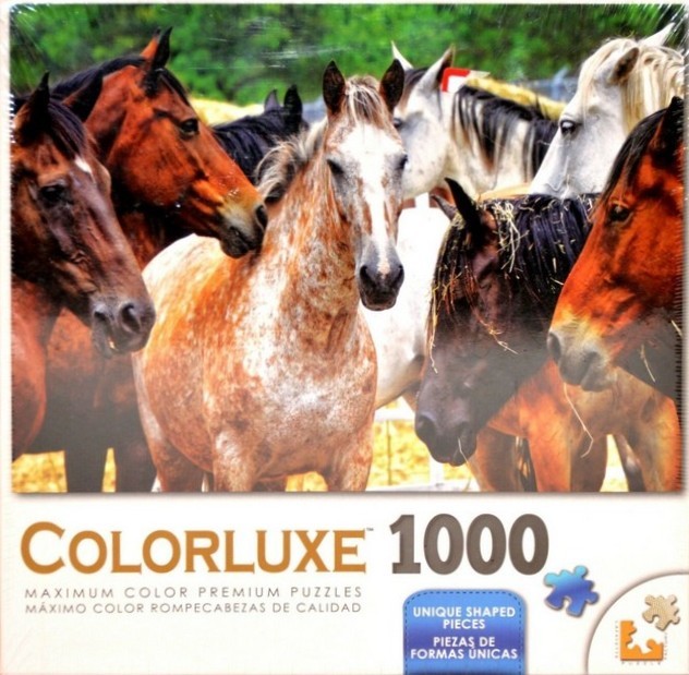 A close-up photograph of a group of horses with various coat colors standing together in a pasture.
