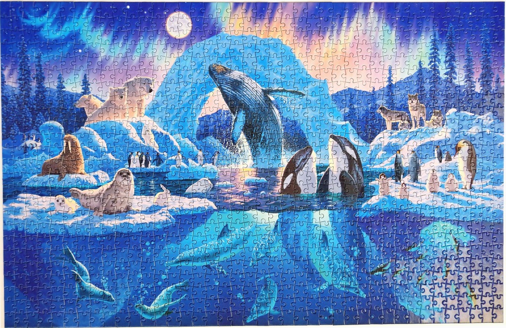 A whimsical illustration of Arctic and Antarctic animals gathered together under a vibrant aurora borealis.