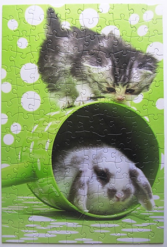 A fluffy kitten perched atop a lime green watering can, with a lop-eared bunny resting inside.
