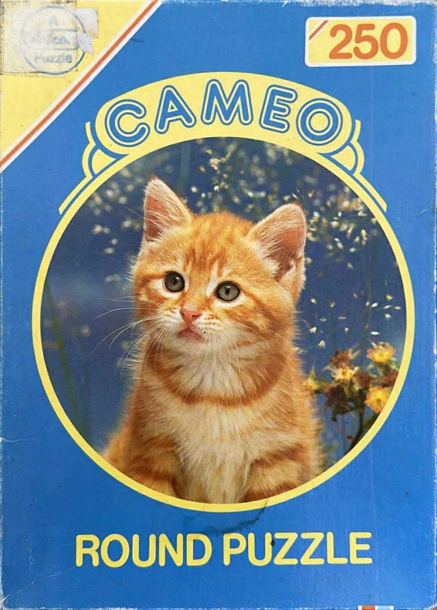A close-up photograph of a fluffy orange tabby kitten centered within a circular frame against a dark blue background.
