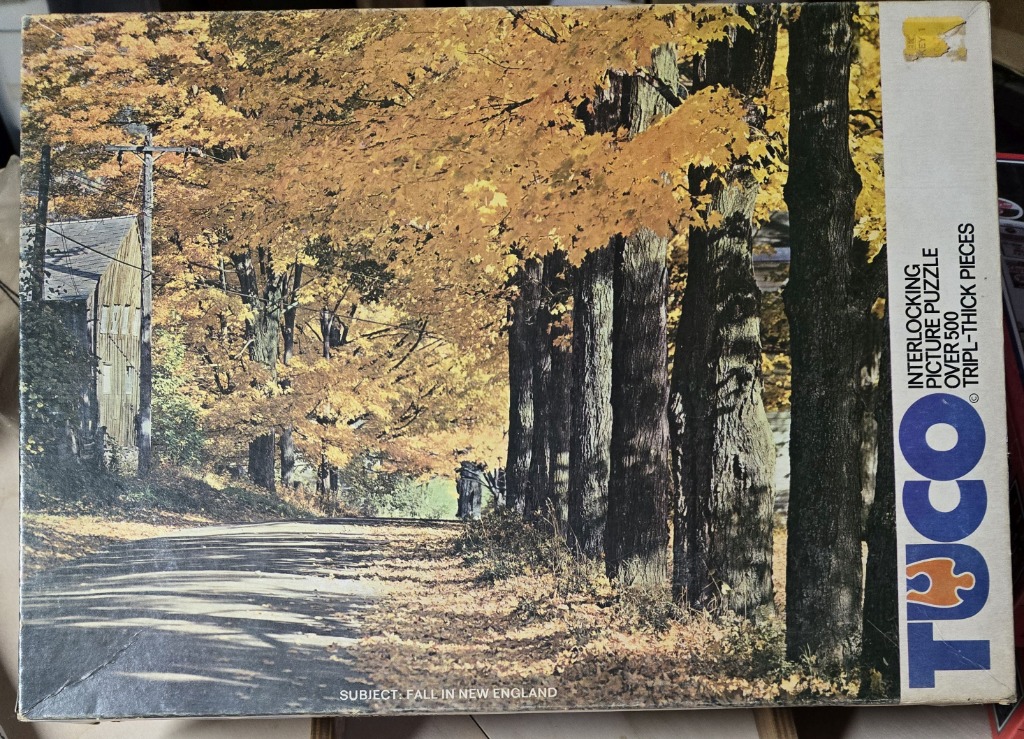 A scenic autumn photograph of a sunlit country road flanked by tall trees with golden-yellow foliage.