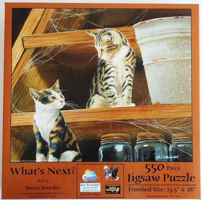 A tabby kitten and a calico kitten sitting on a wooden shelf in a dusty barn.