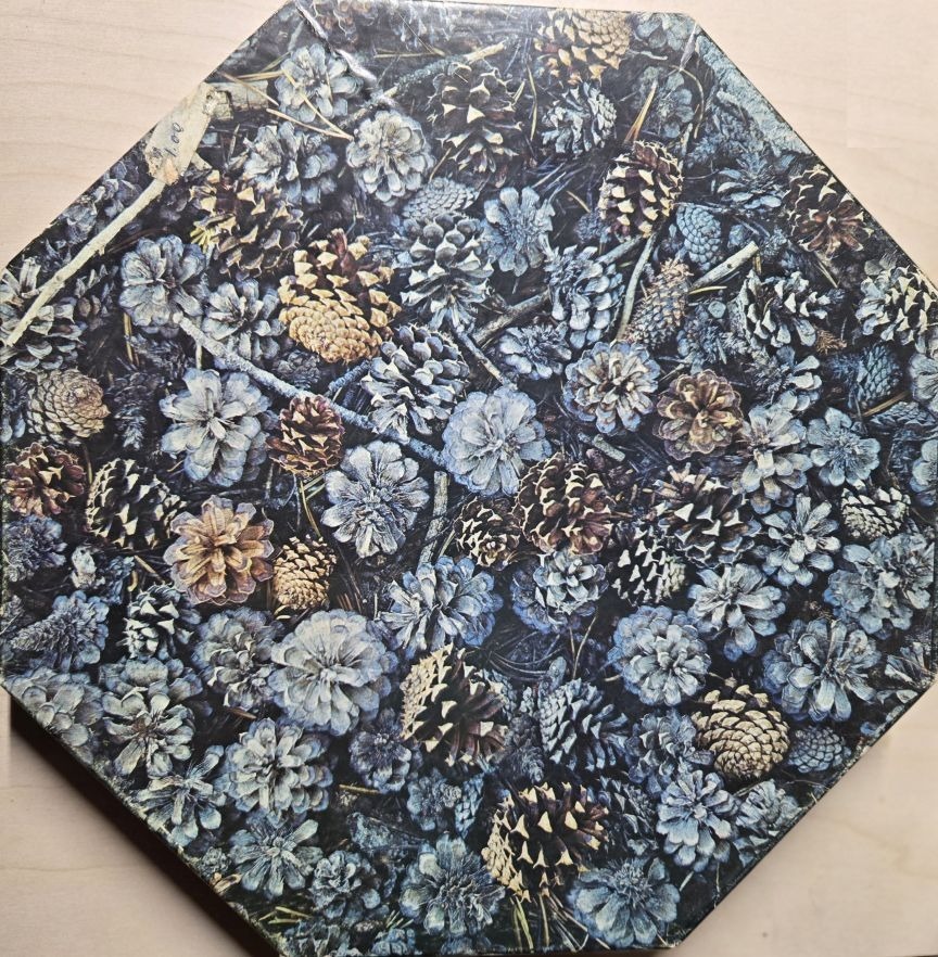 A dense, top-down collection of pine cones and forest debris in shades of blue, grey, and natural brown.