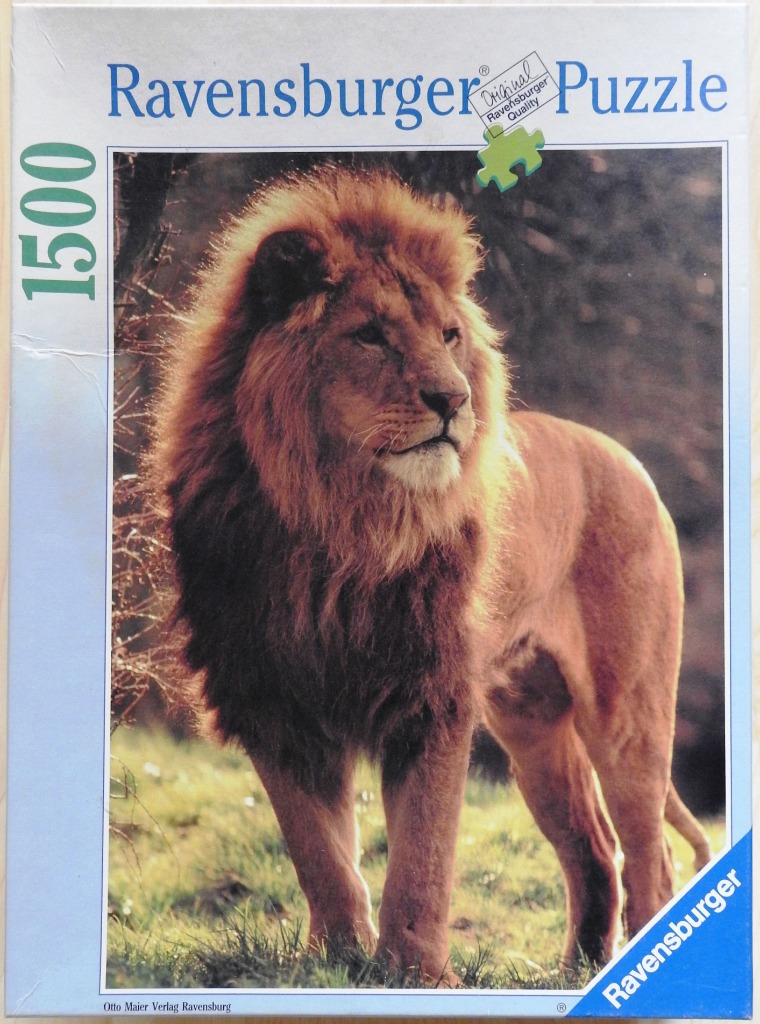 A regal male lion standing in profile in a grassy field with backlit fur.