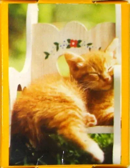 A fluffy orange kitten sleeping on a small white wooden chair outdoors.