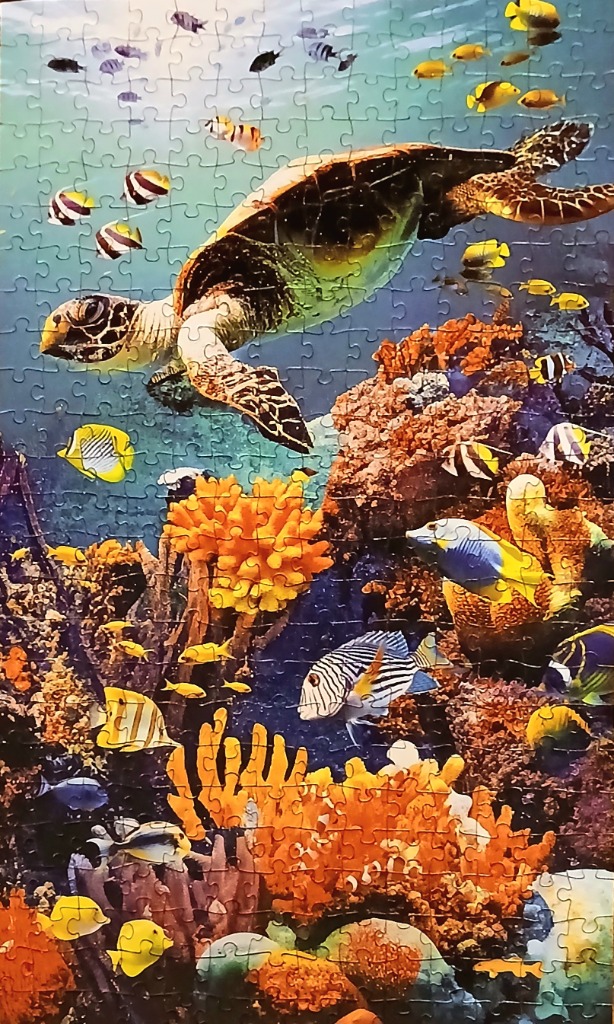 A sea turtle swimming above a vibrant coral reef filled with colorful tropical fish.