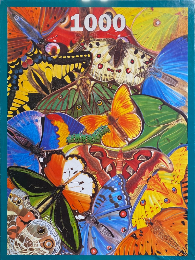 A vibrant, crowded collage of various butterflies and moths in bright, saturated colors.
