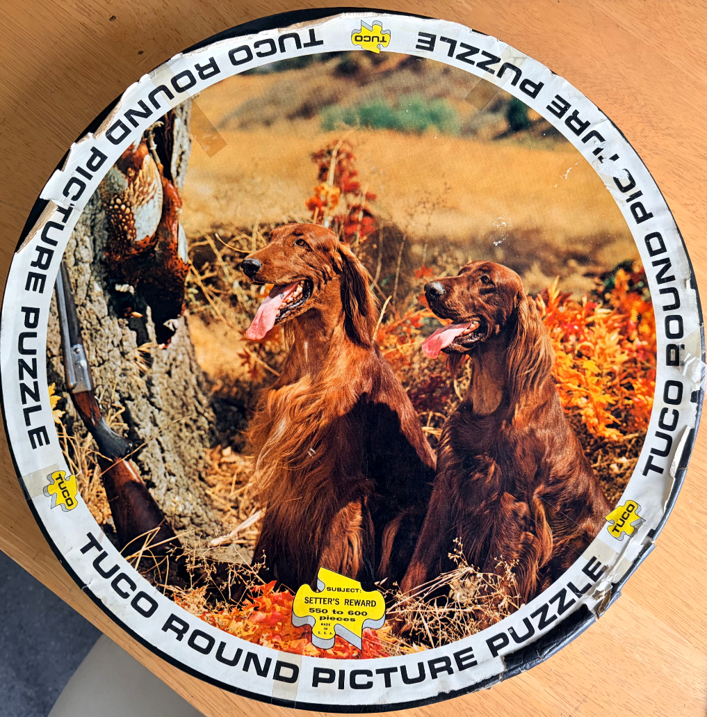 Two Irish Setter dogs sitting in an autumn field next to a tree with a hunting rifle and game bird.