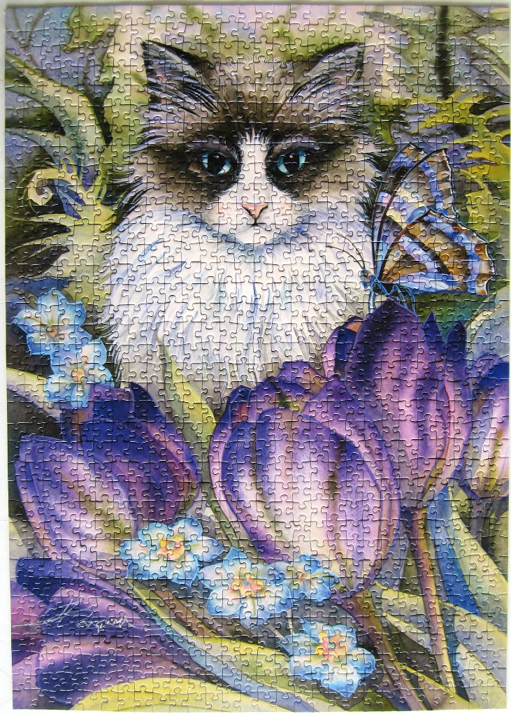 A long-haired ragdoll cat with a butterfly perched on a purple tulip in a garden setting.