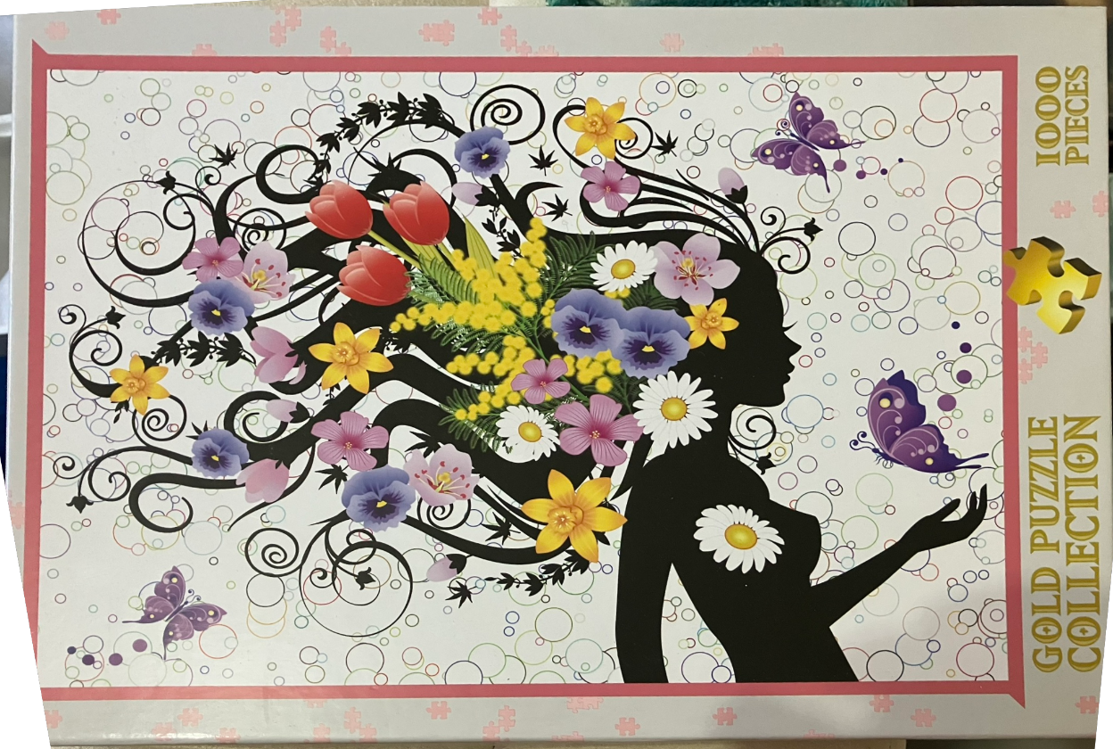 A silhouette of a woman with long, swirling hair made of black floral vines and colorful flowers and butterflies.