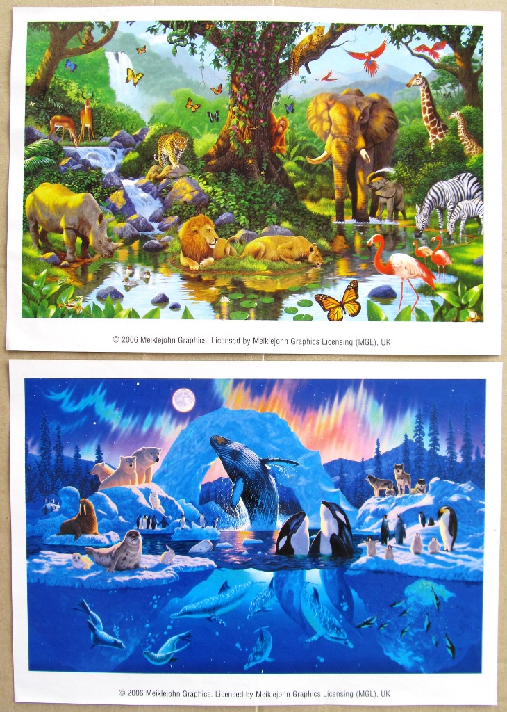 Two side-by-side scenes: a lush, sunny jungle with diverse wildlife and a vibrant, icy arctic habitat at night.