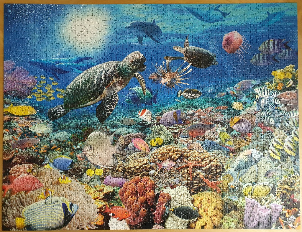 An underwater coral reef teeming with tropical fish, a sea turtle, and a dolphin.