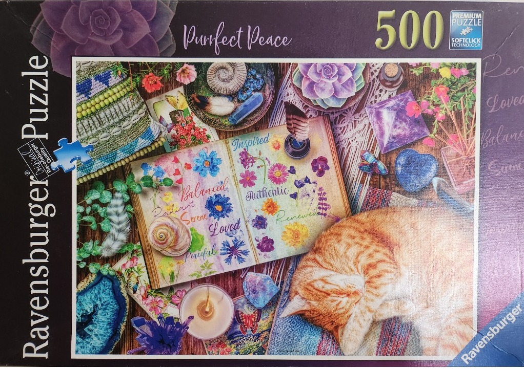 An orange tabby cat sleeping next to an open book filled with floral illustrations and positive affirmations.