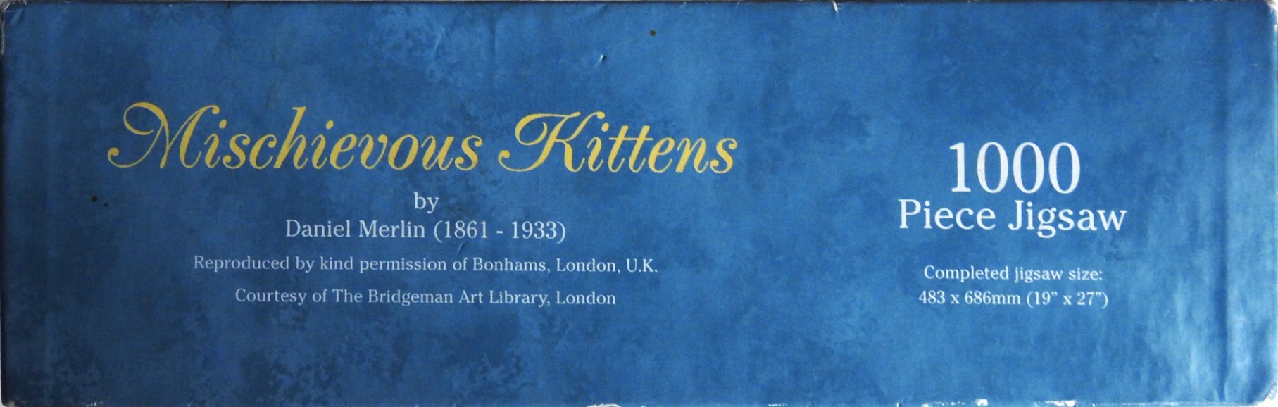 Mischievous Kittens