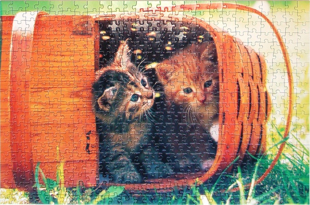 Two kittens sitting inside a wooden basket on a grassy lawn.