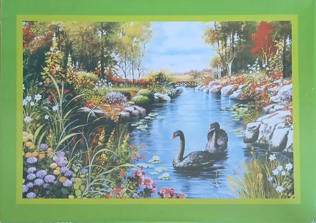 Painting of two black swans swimming in a lush, colorful garden pond with a wooden footbridge in the distance.
