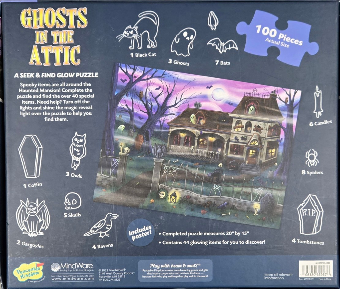 Ghosts in the Attic